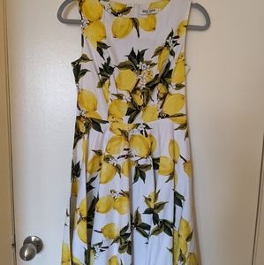 Vintage Style Swing Dress